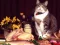 Spel Funny Cats Puzzle aanlyn