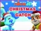 Spel Nick Jr. Christmas Catch aanlyn