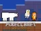 Spel PixelCraft Animal School aanlyn