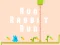 Spel Run Rabbit Run aanlyn