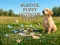 Spel Playful Puppy Outdoor Puzzle aanlyn