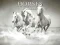 Spel Horses Puzzle aanlyn