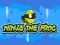 Spel Ninja the Frog aanlyn
