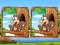 Spel Jungle 5 Diffs aanlyn