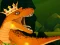 Spel The Dino King aanlyn