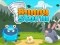 Spel Bunny Storm aanlyn
