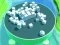 Spel Roller Magnet aanlyn