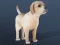 Spel IDLE Pet aanlyn