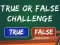 Spel  True Or False Challenge aanlyn