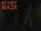 Spel Scary Maze aanlyn