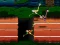 Spel Big Birds Racing aanlyn