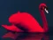 Spel Love Birds Puzzle aanlyn
