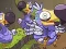 Spel Save The Dodos aanlyn