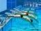 Spel Swimming Pool Race aanlyn