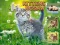 Spel Kittens Jigsaw aanlyn