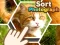 Spel Sort Photograph aanlyn