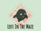 Spel Lost In The Maze aanlyn