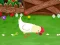 Spel Stupid Chicken aanlyn