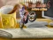 Spel Bike Mania 4 Micro Office aanlyn
