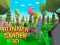 Spel Runner Garden 3d aanlyn