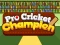 Spel Pro Cricket Champion aanlyn