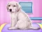 Spel Labrador at the doctor salon aanlyn