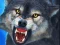 Spel Sniper Wolf Hunter aanlyn