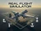 Spel Real Flight Simulator aanlyn