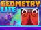 Spel Geometry Lite aanlyn