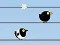 Spel Gone with the Birds aanlyn