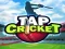 Spel Tap Cricket aanlyn