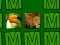 Spel Memorina aanlyn