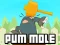 Spel Pum-Mole aanlyn