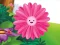 Spel Funny Flowers Jigsaw aanlyn