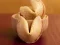 Spel Fortune Cookies aanlyn