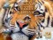 Spel Jigsaw Puzzles Classic aanlyn