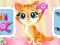 Spel Pets Beauty Salon aanlyn