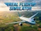 Spel Real Flight Simulator aanlyn