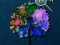Spel Hidden Stars aanlyn