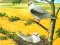 Spel Birds Of Prey Puzzle aanlyn