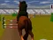 Spel Jumping Horse 3d aanlyn