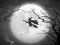 Spel The Night Of the Witches Jigsaw aanlyn