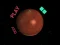 Spel Space Car aanlyn