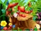 Spel Hidden Objects Insects aanlyn