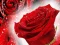 Spel Red Roses aanlyn