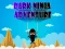 Spel Dark Ninja Adventure aanlyn