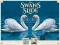Spel Swans Slide aanlyn