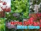 Spel Spring Flowers: Hidden Objects aanlyn