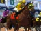 Spel Horse Racing aanlyn
