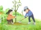 Spel Arbor Day Puzzle aanlyn